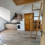 Rent 1 bedroom apartment of 30 m² in Odry