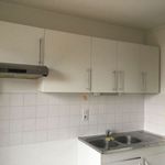Rent 4 bedroom apartment of 67 m² in Le Puy-en-Velay