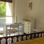 Rent 2 bedroom student apartment of 100 m² in Roma