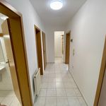 Rent 1 bedroom apartment of 57 m² in Jihlava