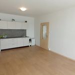 Rent 1 bedroom apartment of 38 m² in České Budějovice