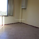 Rent 2 bedroom apartment of 40 m² in Terni