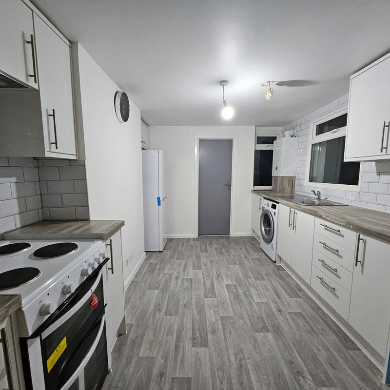 GORGEOUS NEWLY REFURBISHED 1 BEDROOM GROUND FLOOR FLAT IN MARYLAND Cann Hall