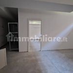 Affitto 5 camera casa di 500 m² in Lecce
