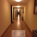 Affitto 1 camera appartamento di 30 m² in Padova