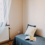 Rent a room in wroclaw
