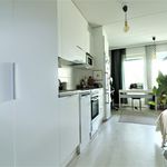 Rent 1 bedroom apartment of 26 m² in Oulu