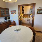 Affitto 5 camera appartamento di 302 m² in Castelletto sopra Ticino