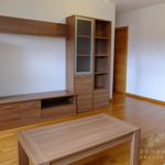 Rent 2 bedroom apartment of 60 m² in Ames