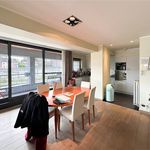 Rent 3 bedroom apartment in Halle