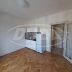 Rent 1 bedroom apartment of 24 m² in Praha