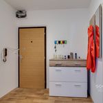 Rent 1 bedroom apartment of 45 m² in Brandýs nad Labem-Stará Boleslav