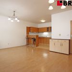Rent 2 bedroom apartment of 59 m² in Brno