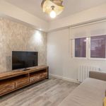 Rent 2 bedroom apartment in Bilbao