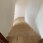 Rent 1 bedroom house of 240 m² in Orlová