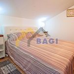Rent 10 bedroom apartment of 350 m² in Pula