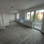 Rent 1 bedroom apartment of 43 m² in Pilsen