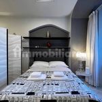 Rent 1 bedroom house of 50 m² in Siena