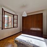 Affitto 5 camera appartamento di 120 m² in Padova