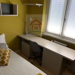 Rent 3 bedroom apartment of 92 m² in Trento