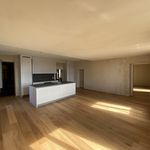 Rent 4 bedroom apartment of 130 m² in Aranno
