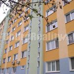 Rent 1 bedroom apartment of 48 m² in Boháňka