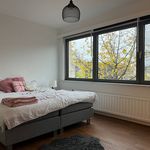 Rent 4 bedroom apartment in Schilde