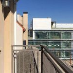 Rent 3 bedroom apartment of 145 m² in Madrid