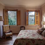 Rent 9 bedroom apartment of 250 m² in Firenze