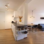 Rent 1 bedroom apartment of 484 m² in Eindhoven
