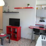 Alquilo 1 dormitorio apartamento de 24 m² en Las Palmas de Gran Canaria