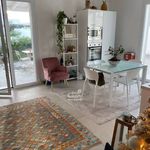 Rent 1 bedroom house of 80 m² in Marsala