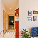 Affitto 1 camera appartamento di 45 m² in Carmagnola