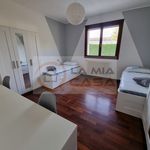 Rent a room of 150 m² in Legnaro