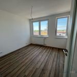 Rent 2 bedroom apartment of 46 m² in Rohatec