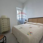 Affitto 10 camera appartamento di 150 m² in Orbetello