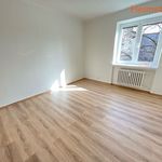 Rent 1 bedroom apartment of 19 m² in Havířov