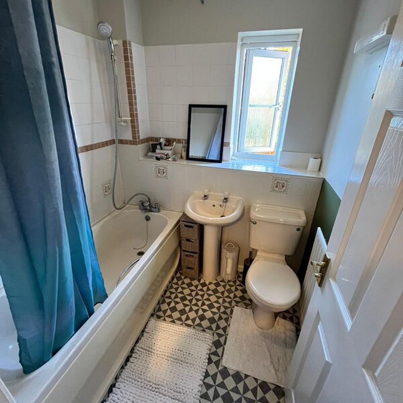 Large room with ensuite shower (Has a House)