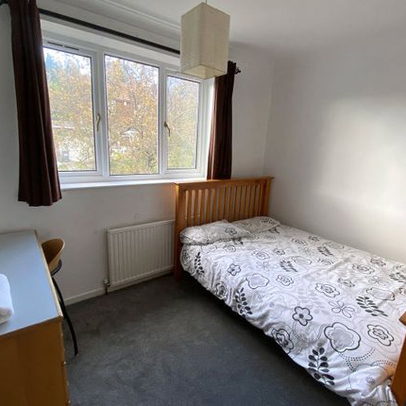 Shared accommodation to rent in Springwood Hall Gardens, Springwood, Huddersfield HD1 Thornton Lodge