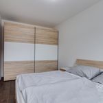 Rent 2 bedroom apartment of 58 m² in Prague