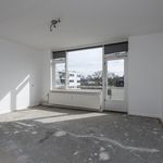 Rent a room of 35 m² in Zwijndrecht