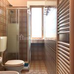 2-room flat good condition, fourth floor, Lido di Camaiore, Camaiore