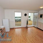 Rent 1 bedroom apartment of 35 m² in Rousínov