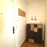 Rent 1 bedroom apartment of 28 m² in Dresden