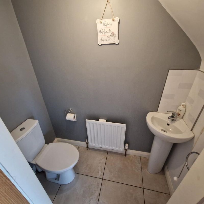House for rent in Antrim Randalstown