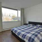 Rent 4 bedroom house of 120 m² in Amstelveen