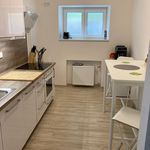 Rent 2 bedroom apartment of 74 m² in Brno