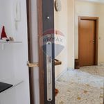 Rent 1 bedroom apartment of 28 m² in Milano
