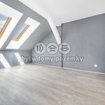 Rent 3 bedroom apartment of 45 m² in Plzeň