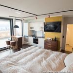 Rent 1 bedroom apartment of 55 m² in Freiburg im Breisgau